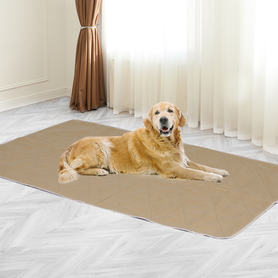 Pawz 2 Pcs 120X120 Cm Reusable Waterproof Jumbo Heavy Duty Protection For Large Areas