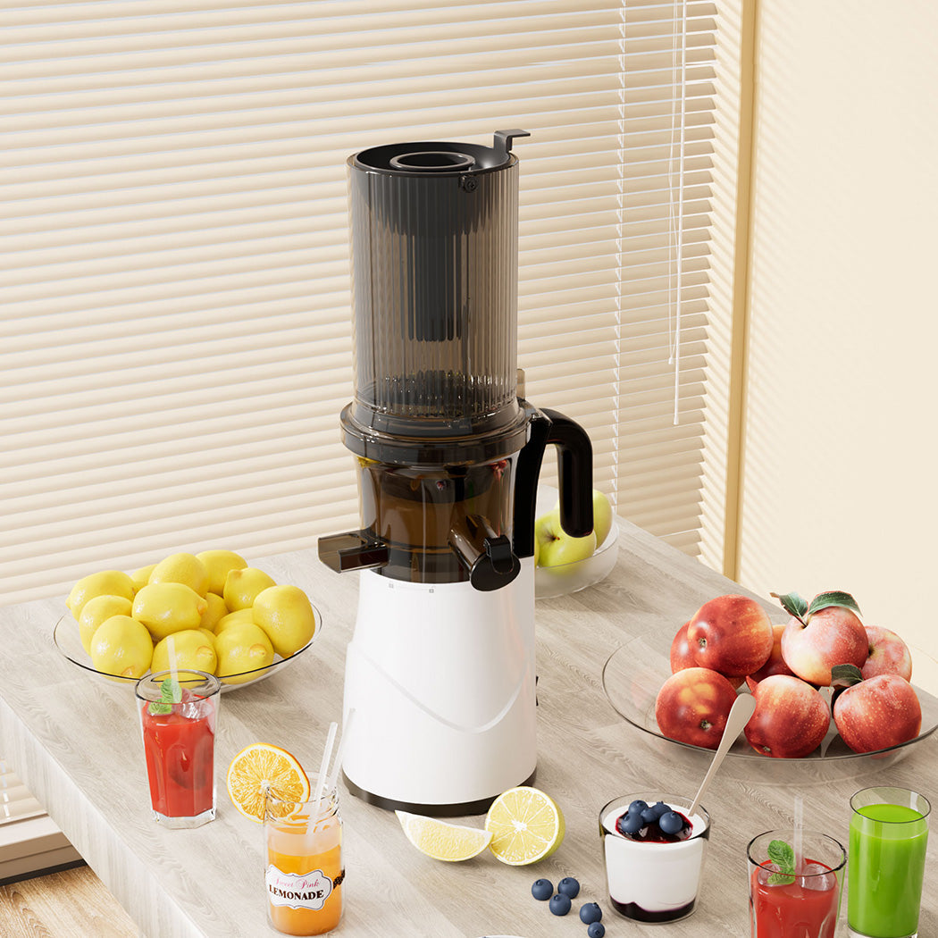 Spector Electric Cold Press Juicer Whole Fruit