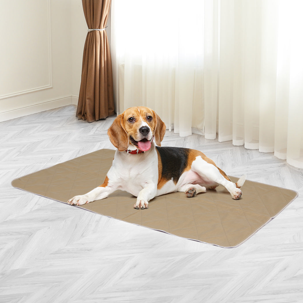 Pawz 2 Pcs 60X90 Cm Reusable Waterproof Large