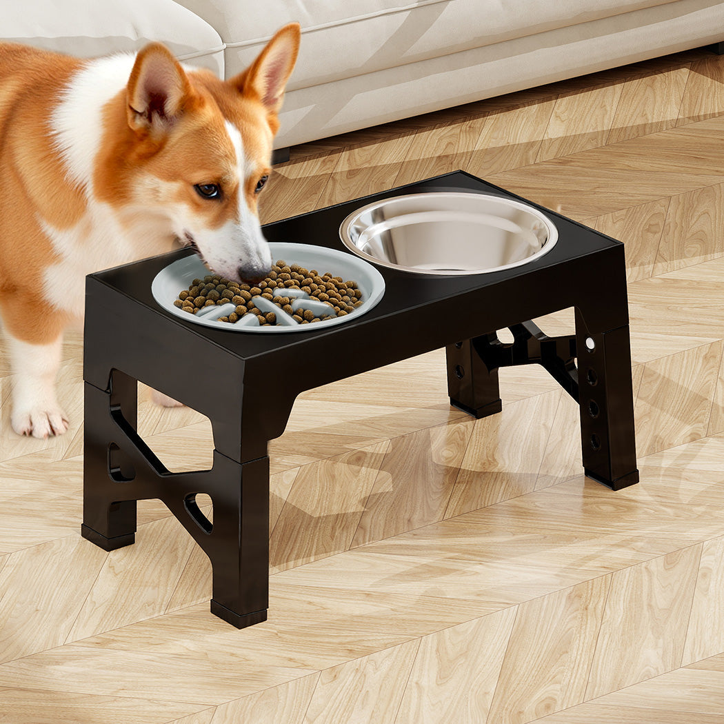 Pawz Elevated Dog Bowls 2 Stainless Steel And 1 Slow Feeder