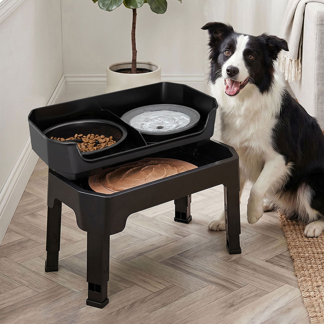 Pawz Raised Dog Bowls Set With Slow Feeder & Lick Mat