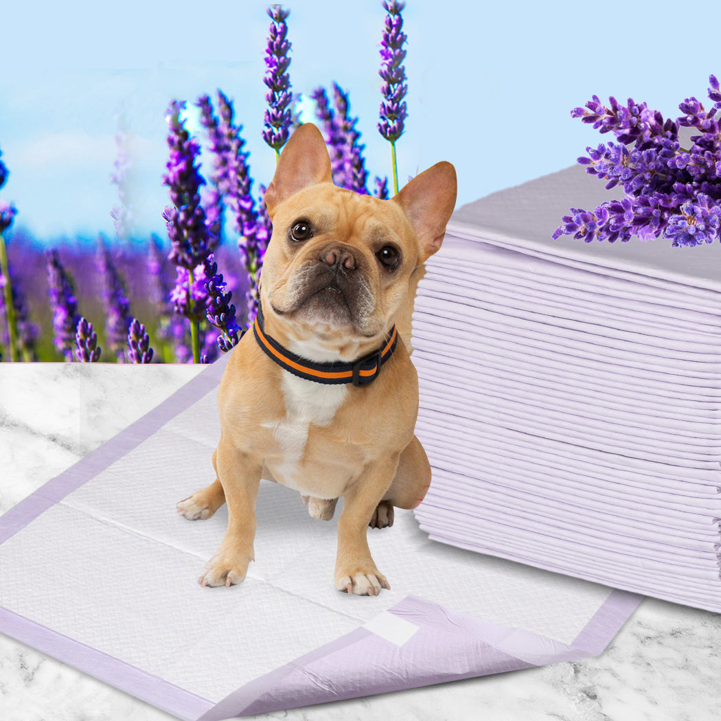 Pawz 100X Pet Dog Toilet Training Pad Convenient And Absorbent Pads For Puppy