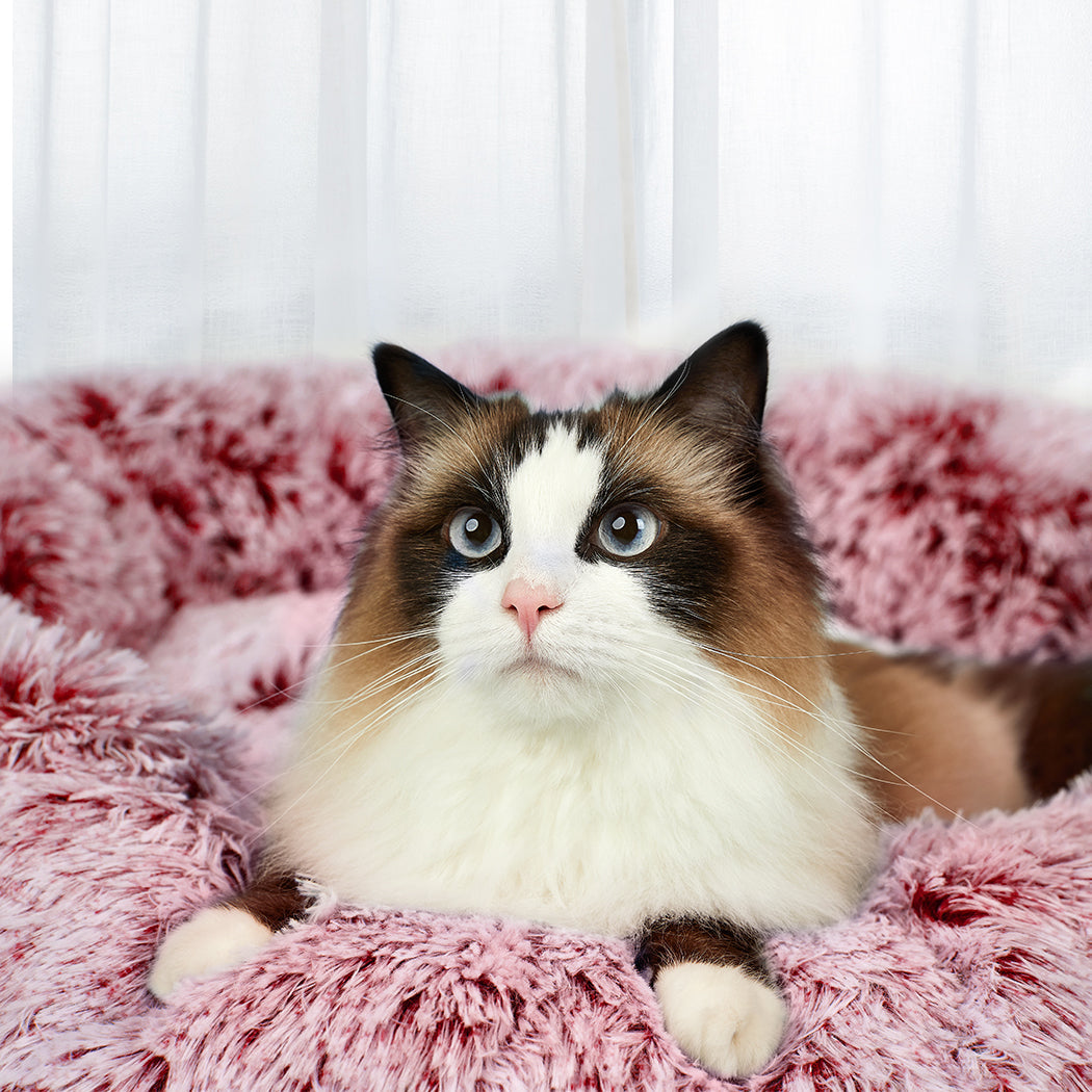 Pawz Pet Bed Memory Foam Dog Donut Pink Large