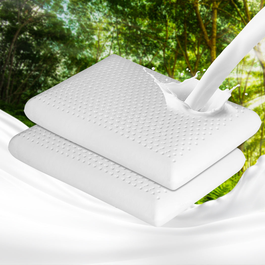 Dreamz 2X Natural Latex Pillow Removable