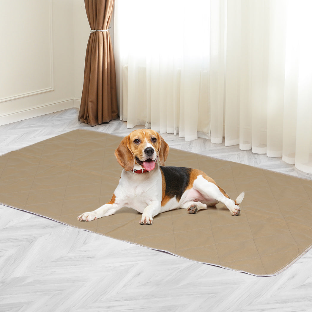 Pawz 2 Pcs 90X90 Cm Reusable Waterproof Xx Large