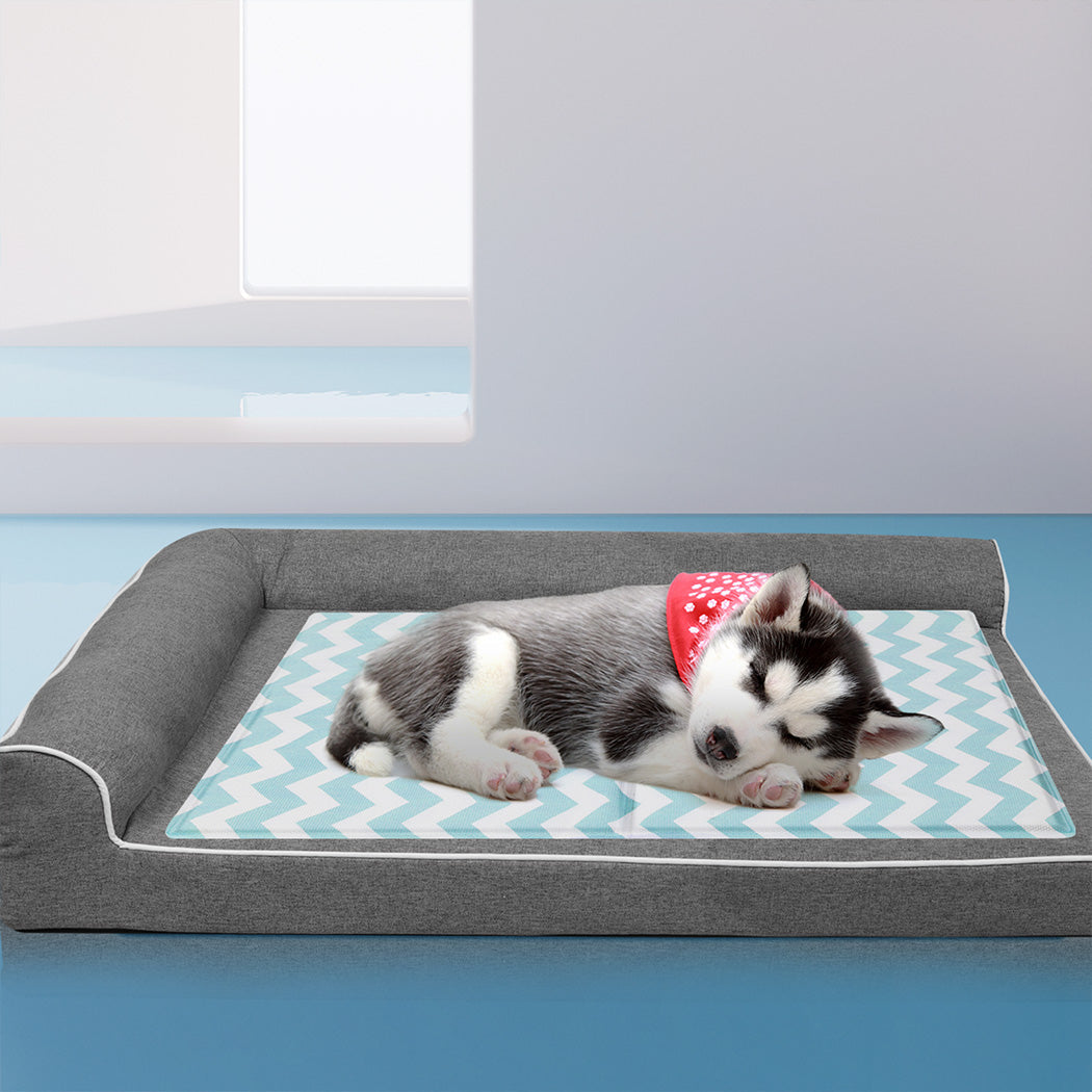 Pawz Pet Cooling Mat Blue