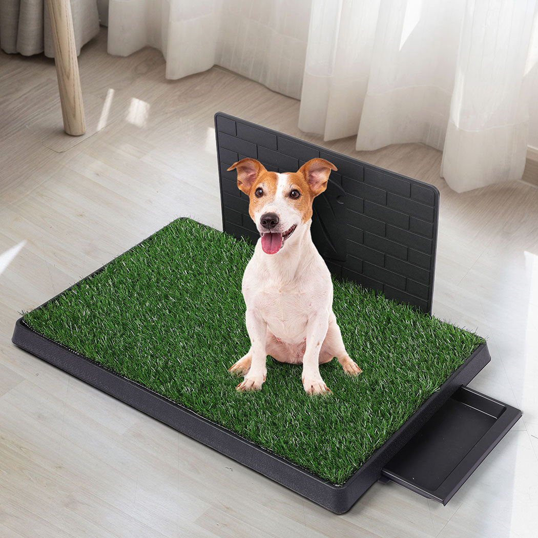 Pawz Indoor Dog Pet Grass Potty Training L Convenient And Clean Solution For