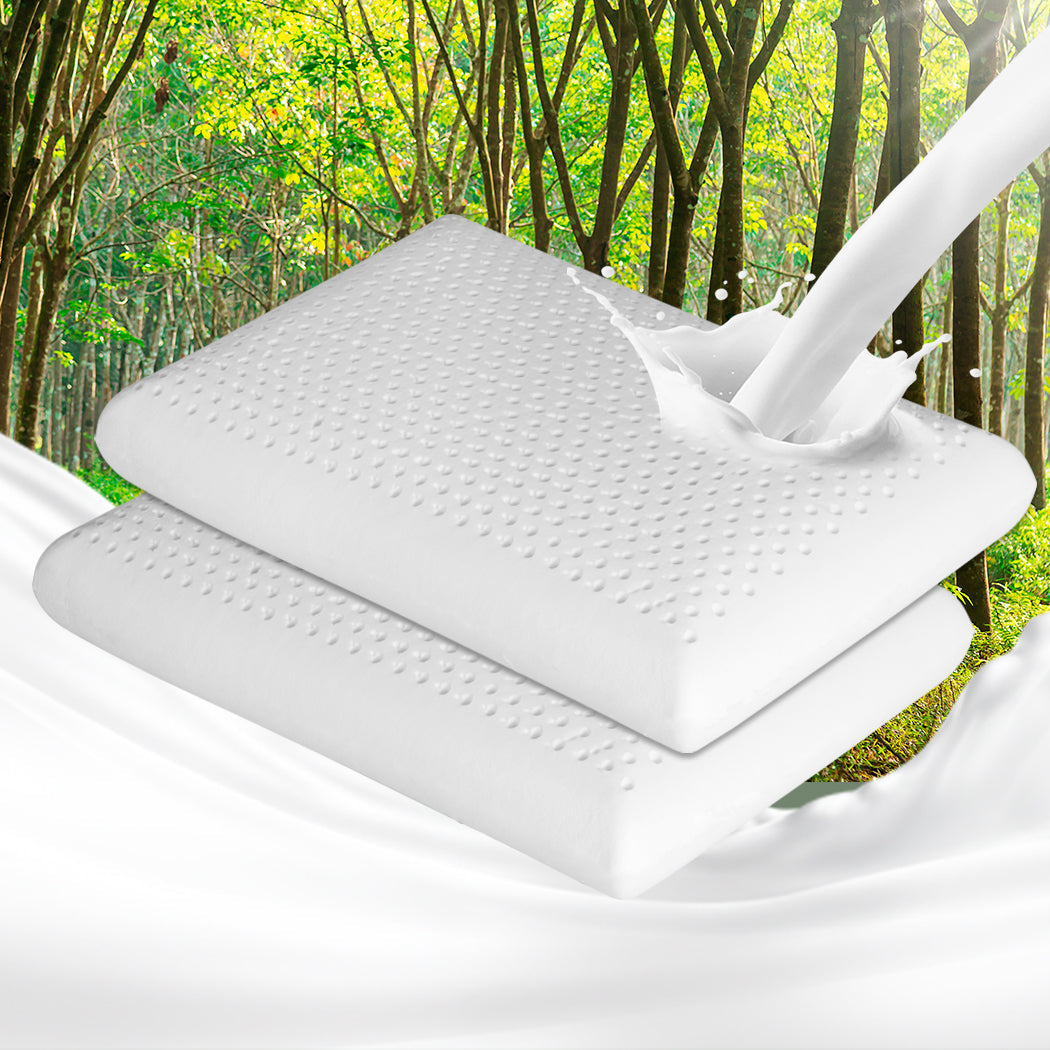 Dreamz 2X Natural Latex Pillow Removable