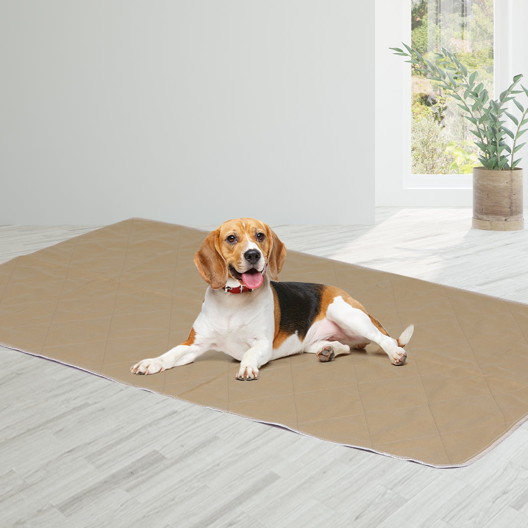Pawz 2 Pcs 90X90 Cm Reusable Waterproof Xx Large