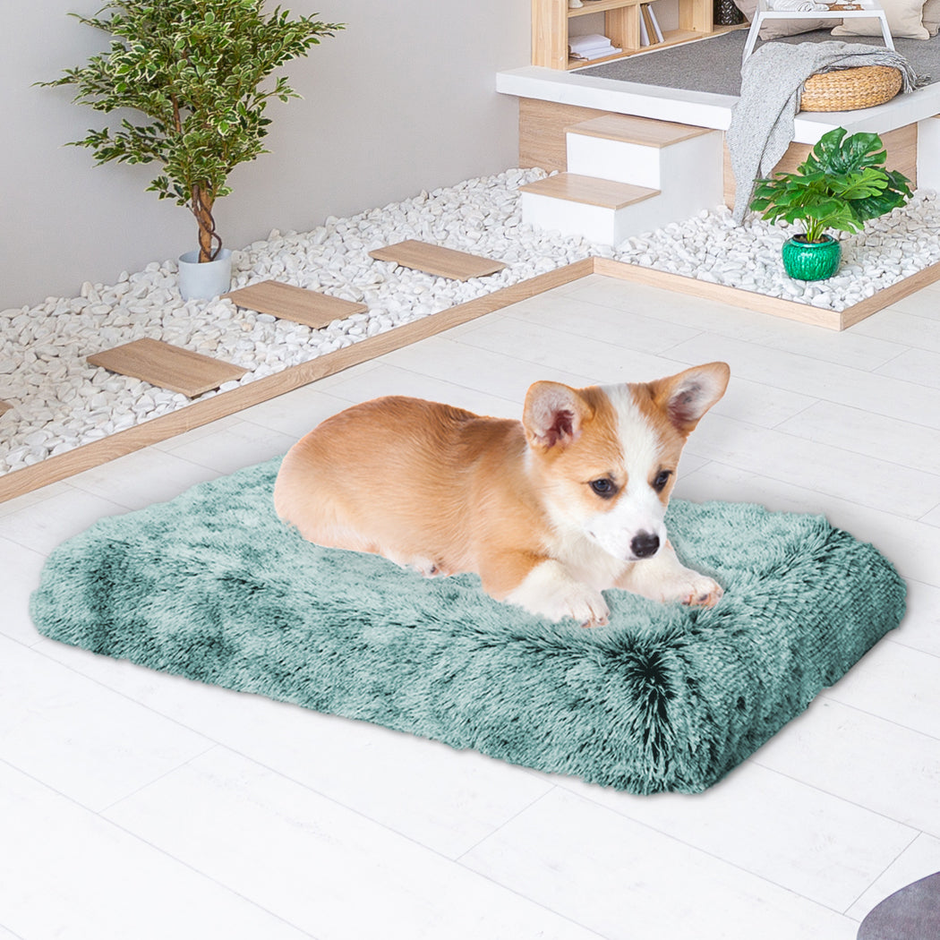 Pawz Dog Mat Pet Calming Bed Memory S Green Small