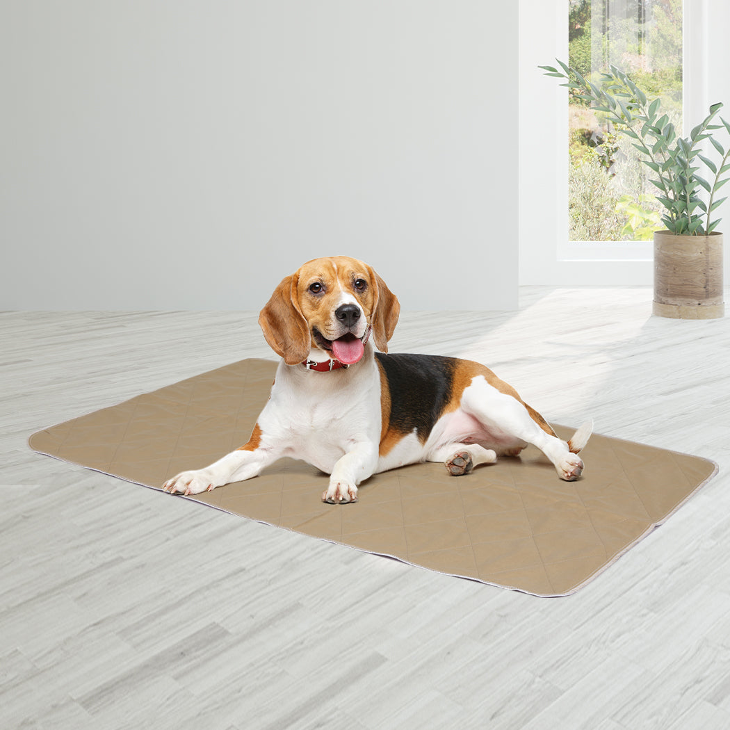 Pawz 2 Pcs 60X90 Cm Reusable Waterproof Large