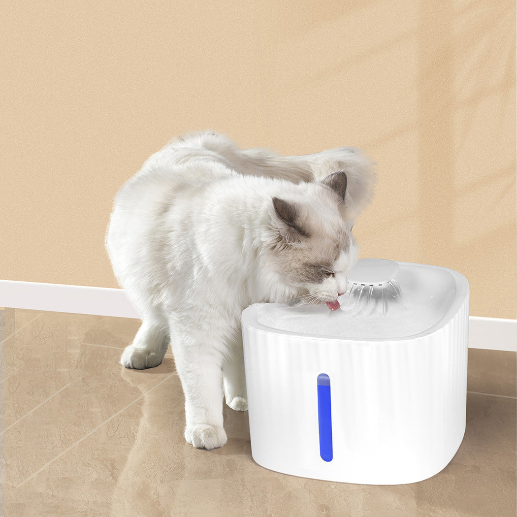 Pawz Pet Water Fountain
