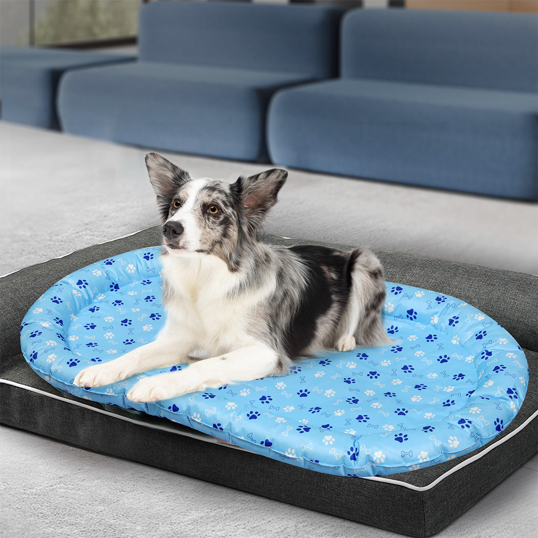 Pawz Pet Cooling Mat Xl Blue