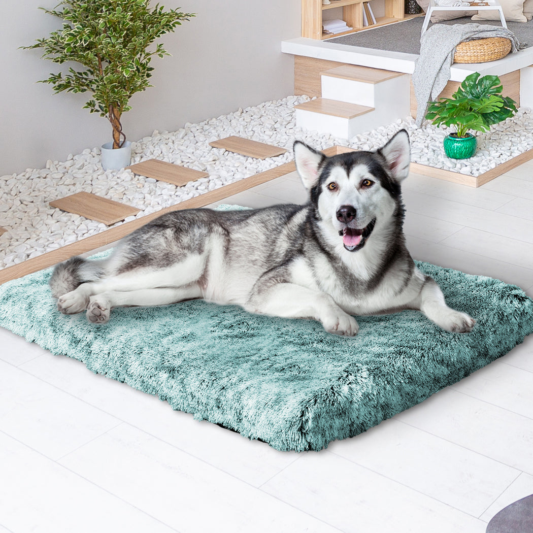 Pawz Dog Mat Pet Calming Bed Memory Xl Green Large