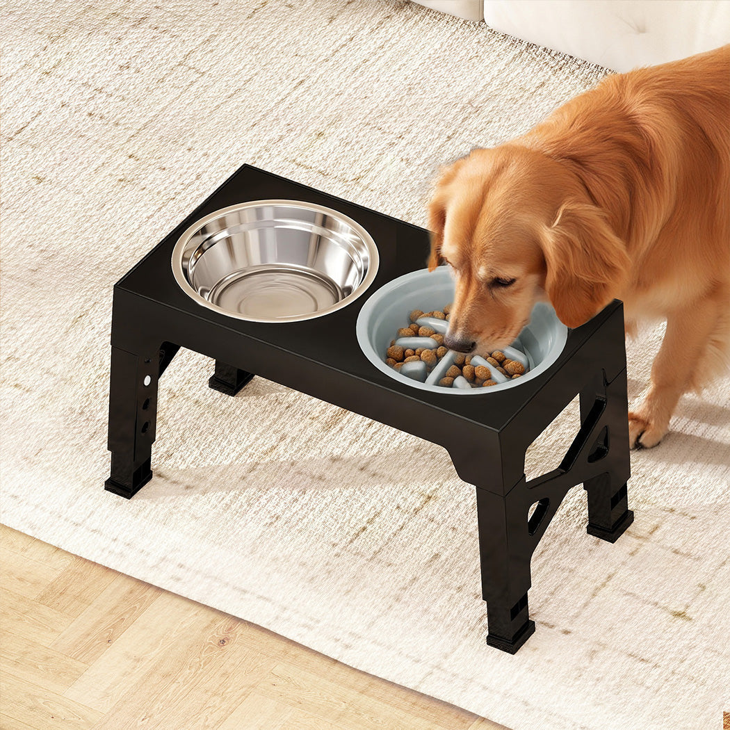 Pawz Elevated Dog Bowls 2 Stainless Steel And 1 Slow Feeder