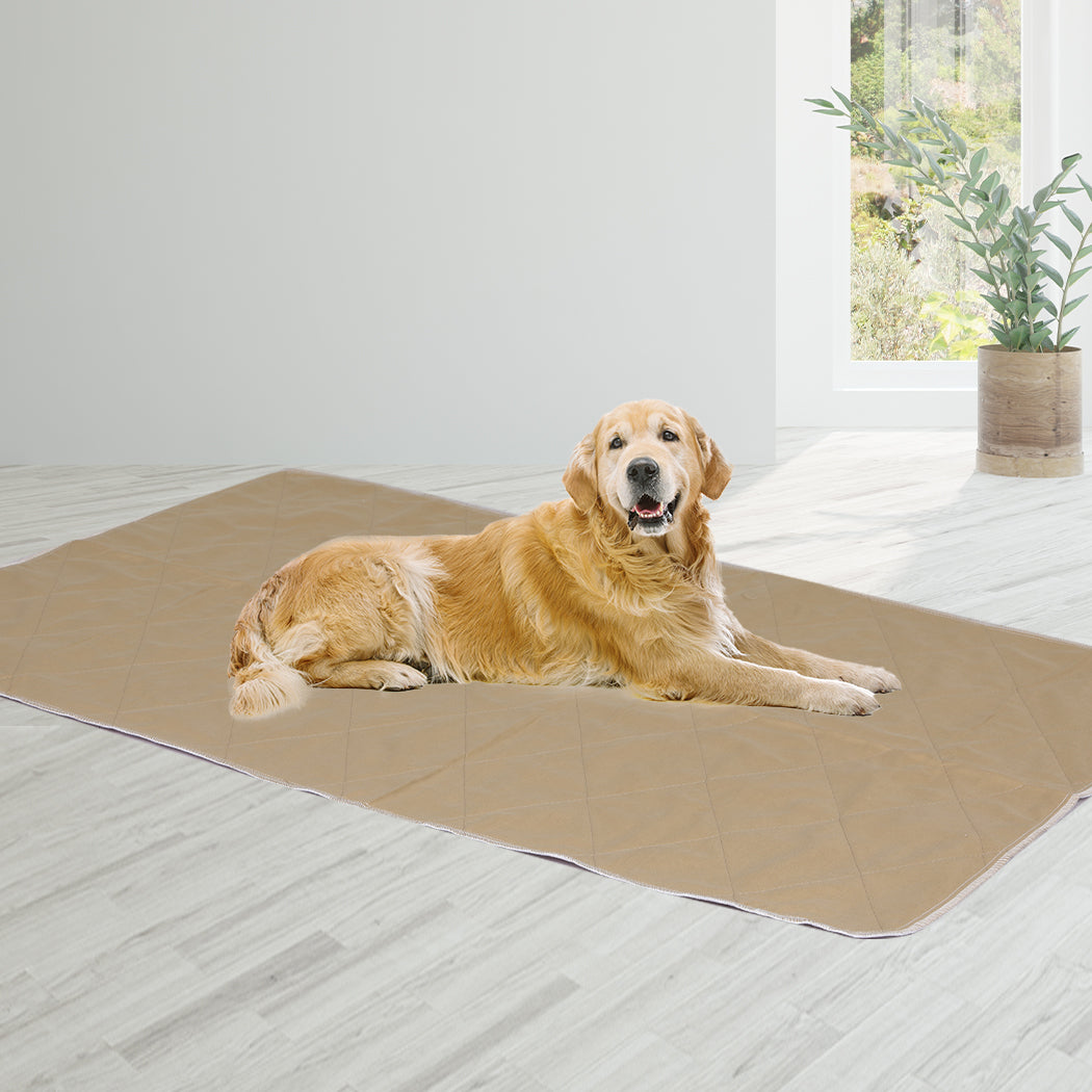 Pawz 2 Pcs 120X120 Cm Reusable Waterproof Jumbo Heavy Duty Protection For Large Areas
