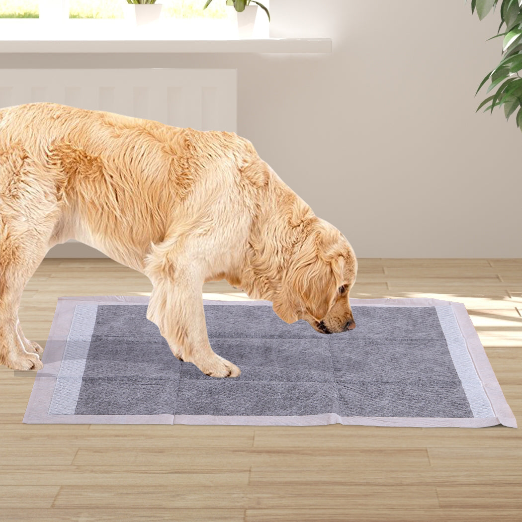 Pawz 200 Pcs 60X60cm Charcoal Pet Puppy