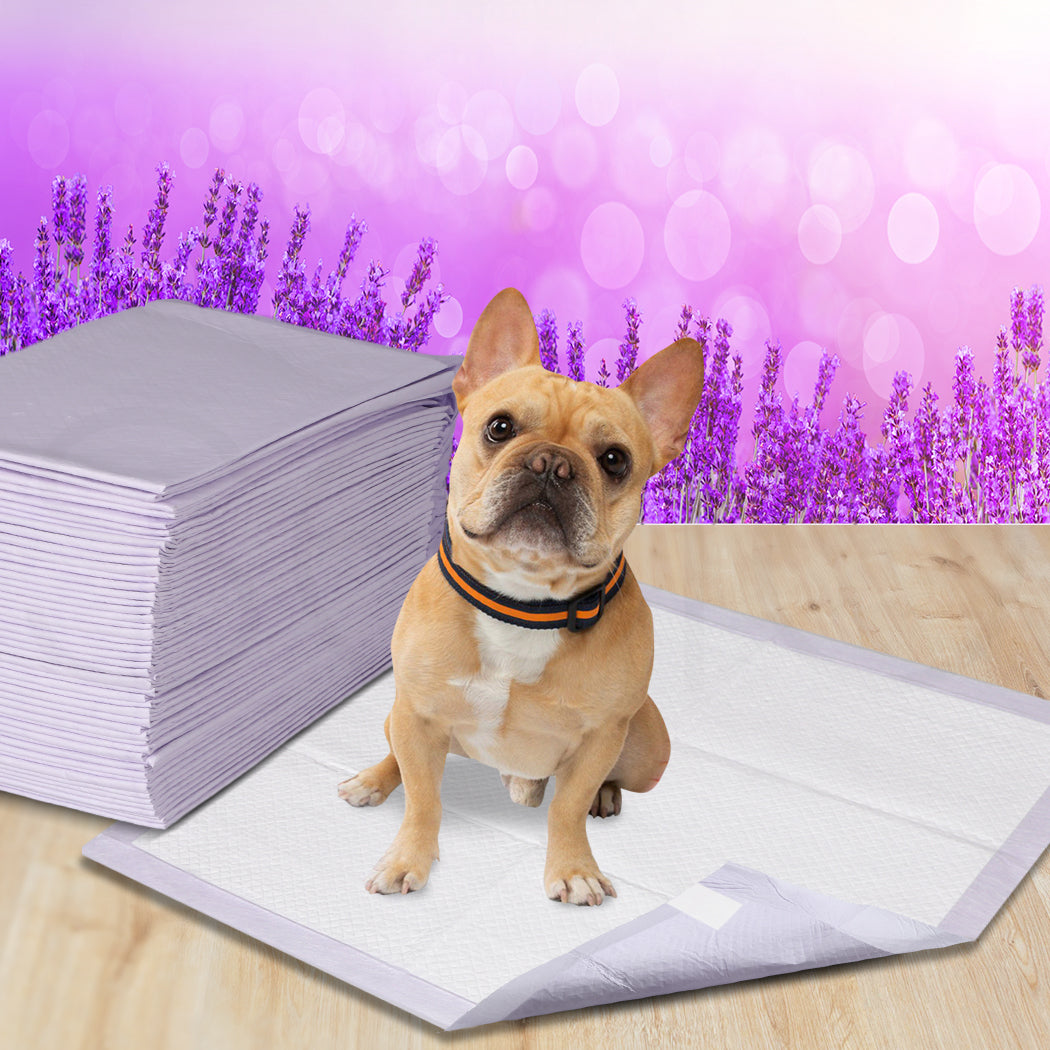 Pawz 200X Pet Dog Toilet Training Pad