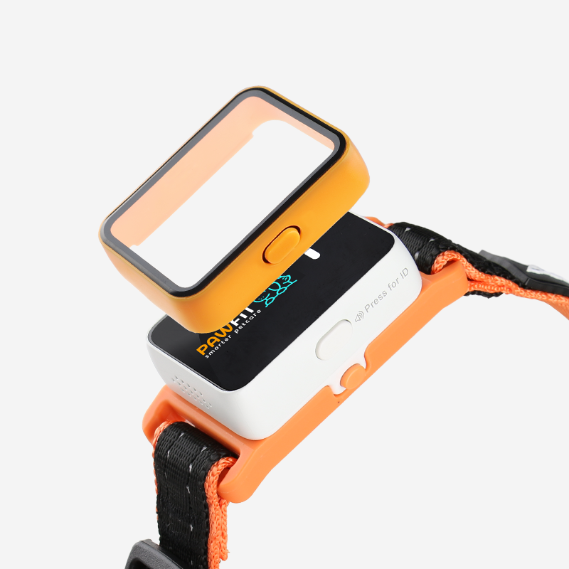 Pawfit Leash