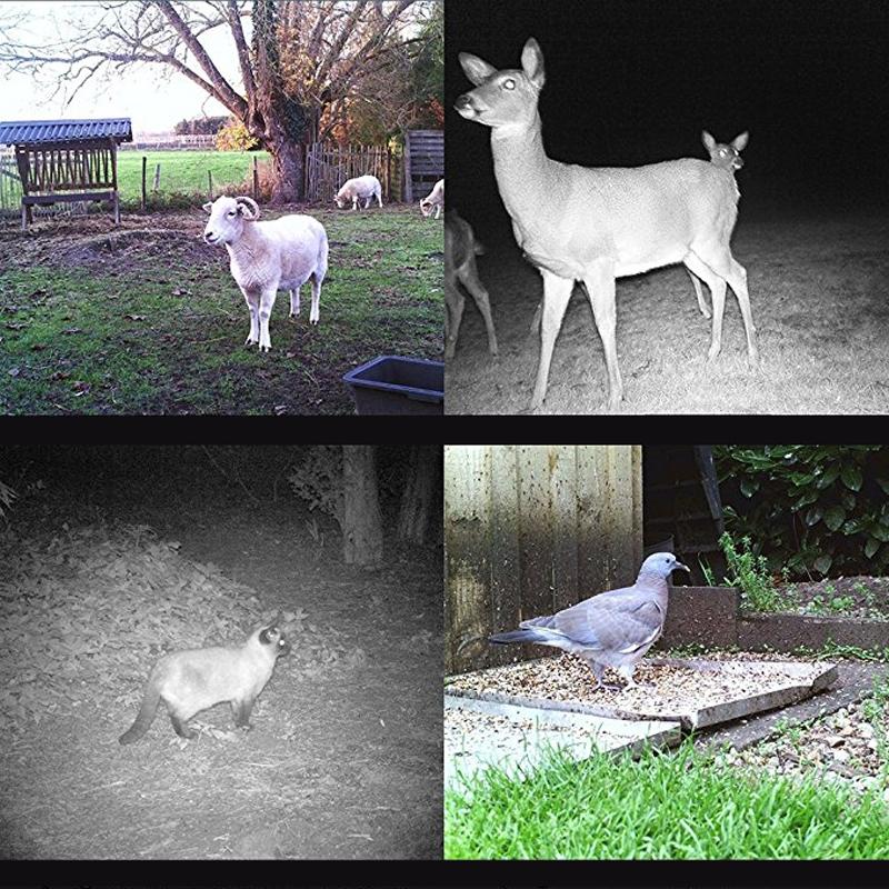12Mp Waterproof Trail Camera With Night Vision And 2.0 Inch Lcd Display