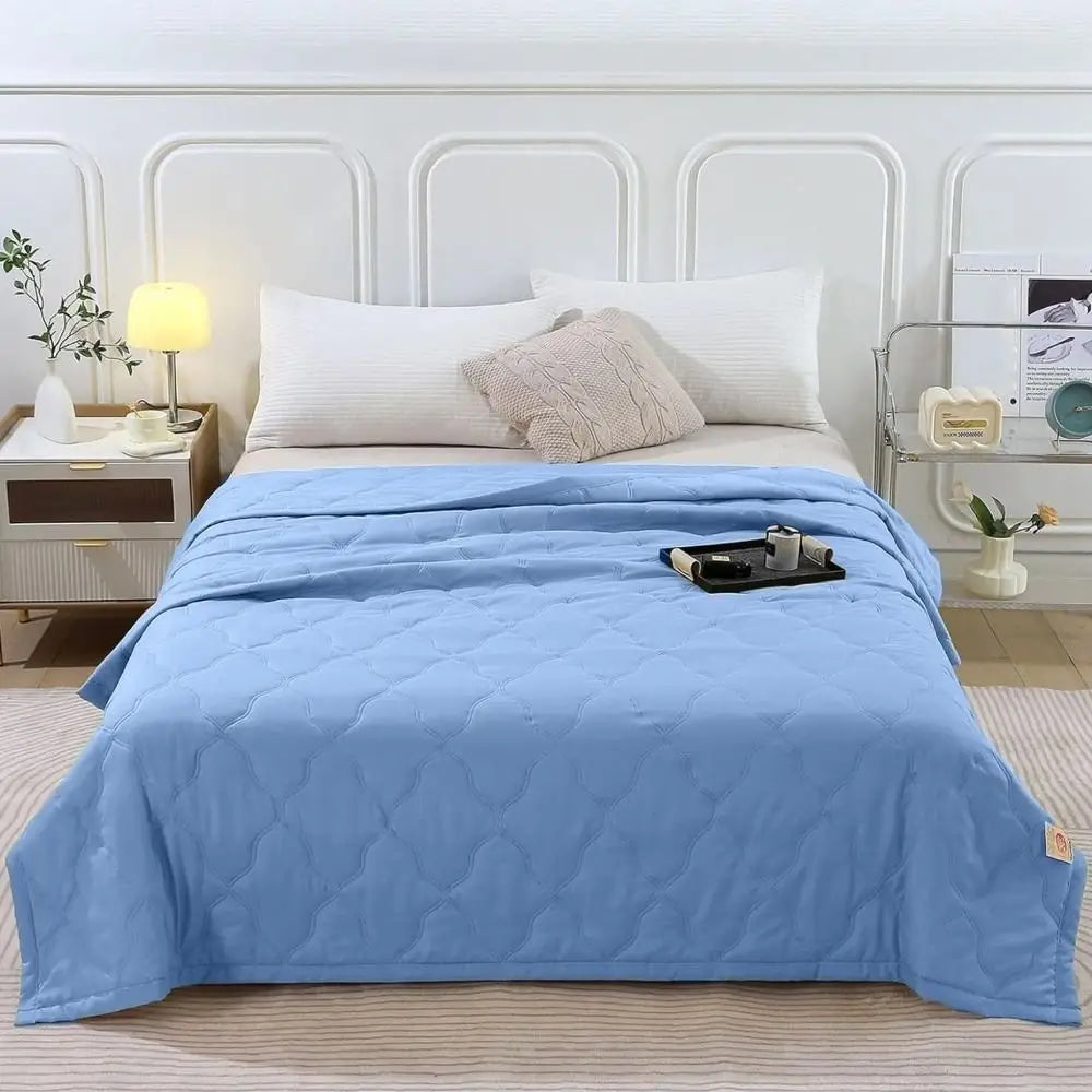 Skin Friendly Cooling Blanket Double Sided Cold Effect Quilt Spring Summer Breathable Quilt

<