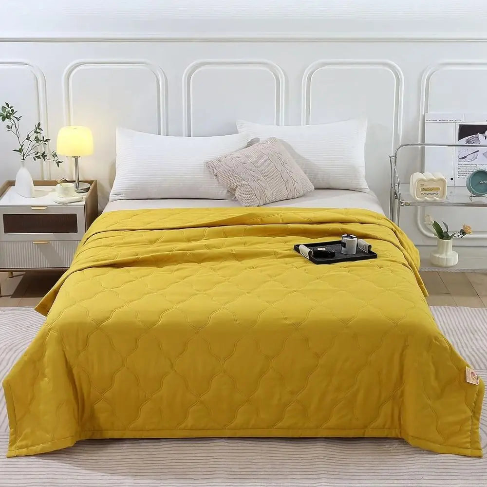 Skin Friendly Cooling Blanket Double Sided Cold Effect Quilt Spring Summer Breathable Quilt

<