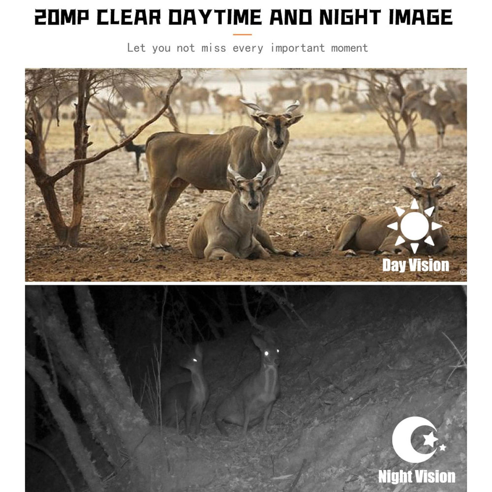 1080P Wildlife Camera With Night Vision For Outdoor Tracking