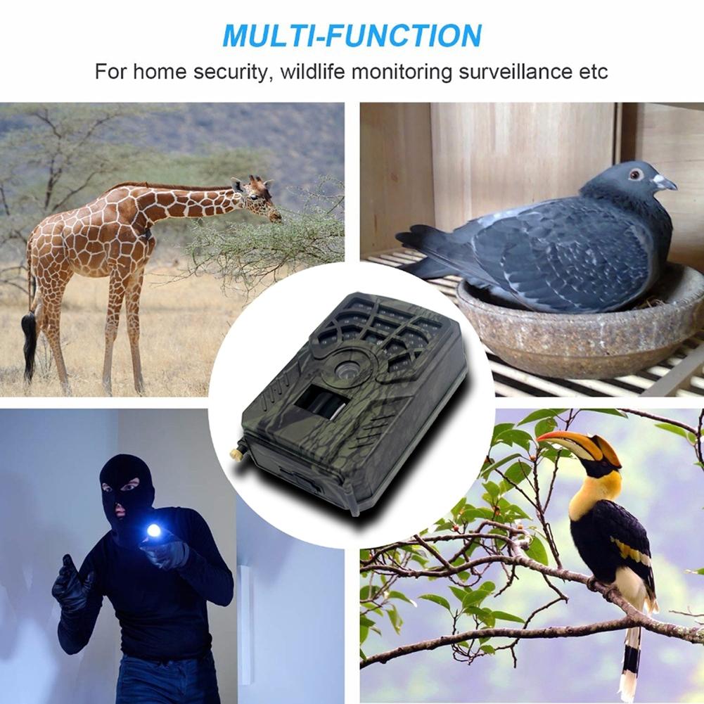 Five Megapixel Trail Camera For Hunting And Outdoor Activities