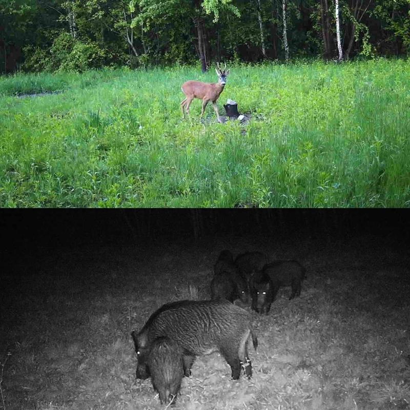 Outdoor Camera With Infrared Night Vision And 2.7K Resolution