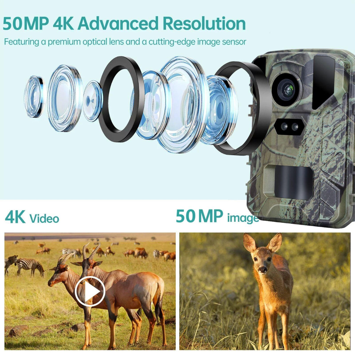 Fifty Megapixel Four K Mini Wildlife Hunting Camera With Night Vision