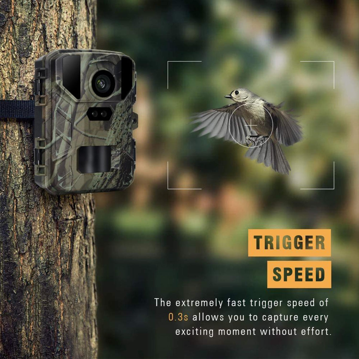 50Mp Four K Mini Wildlife Hunt Camera With Night Vision