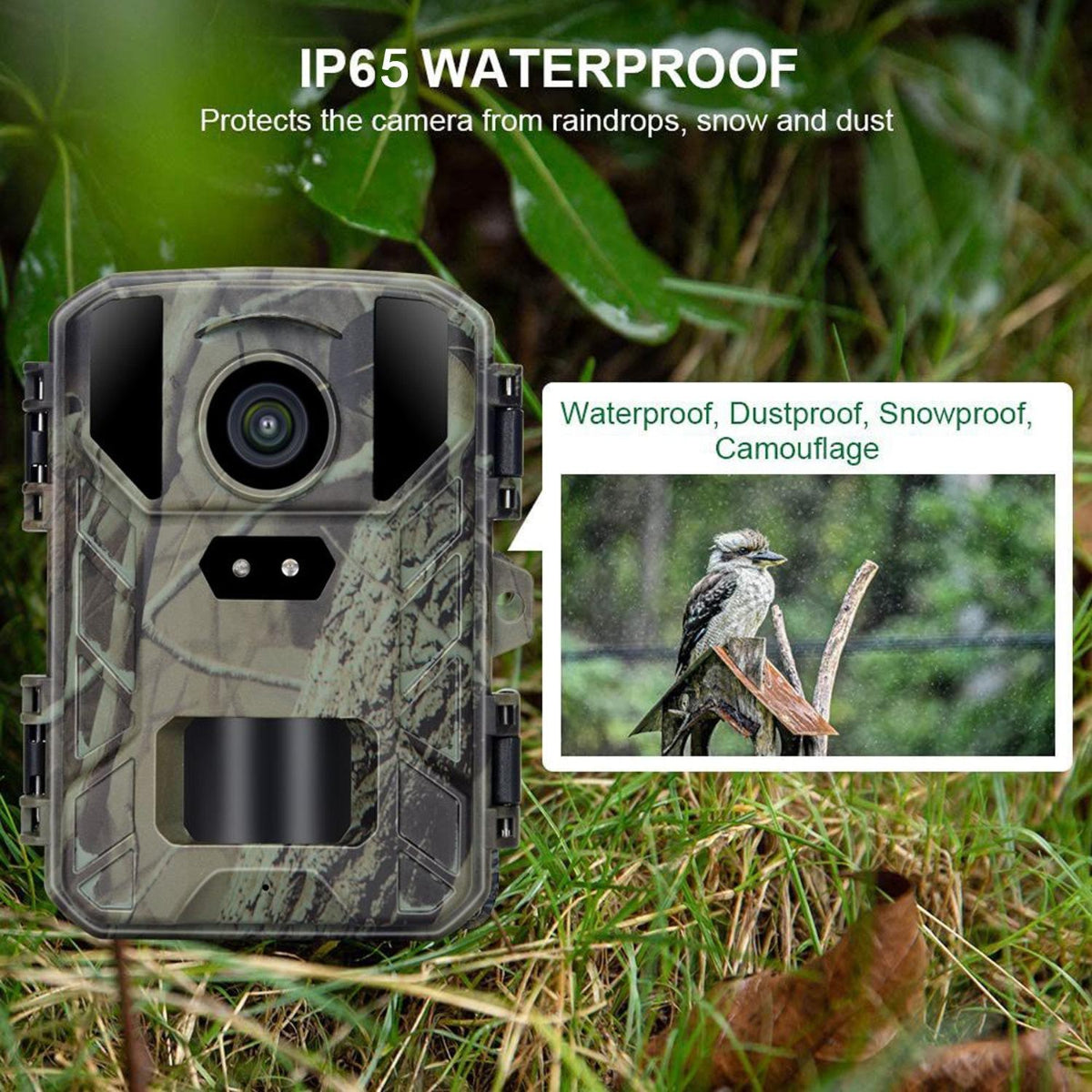Fifty Megapixel Four K Mini Wildlife Hunting Camera With Night Vision