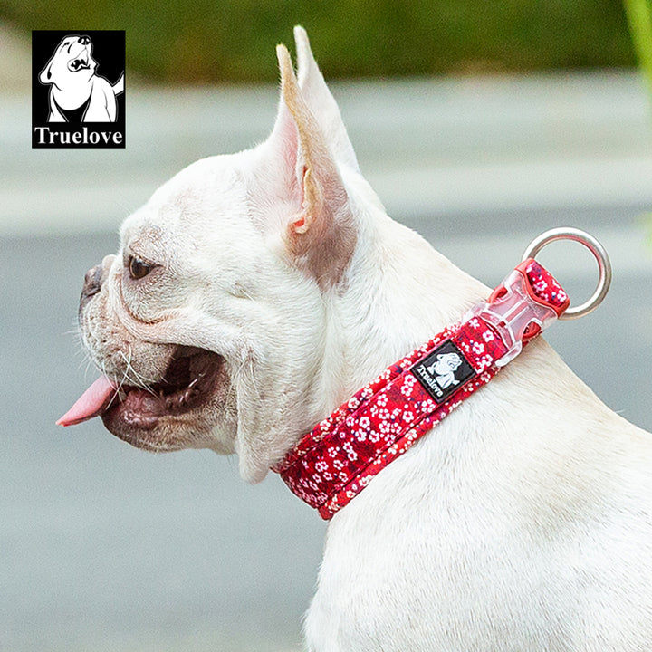 True Love Floral Dog Collar Red Xs