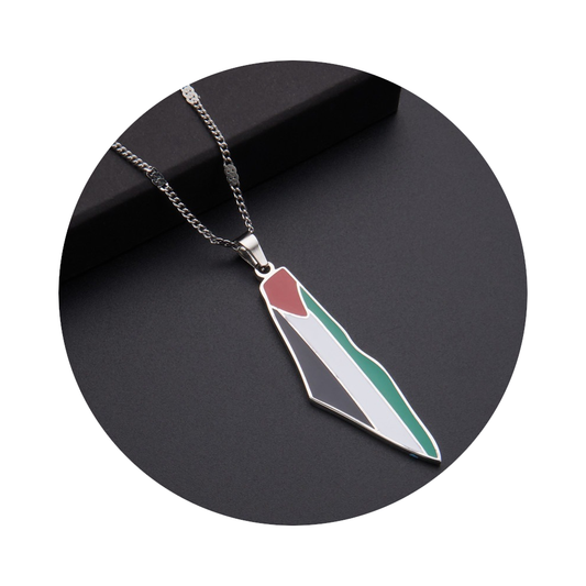 Veile Studios Titanium Steel Stainless Drip Glue Middle East Israel Palestine Map Pendant Necklace