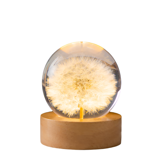 Elsoung Luminous 3D Dandelion Crystal Ball Beech Wood Stand Base Preserved Flower Sphere Desktop Ornaments Birthday Chri