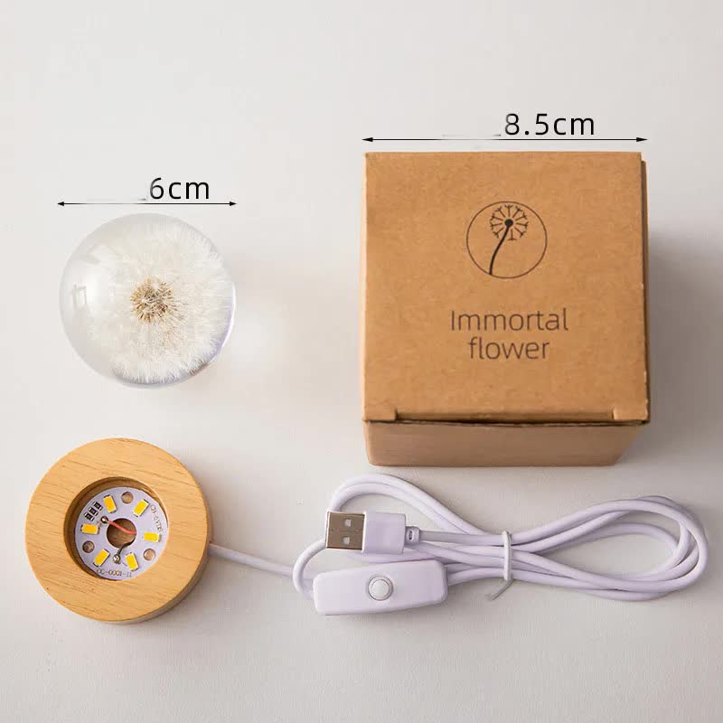 Elsoung Luminous 3D Dandelion Crystal Ball Beech Wood Stand Base Preserved Flower Sphere Desktop Ornaments Bithday Chris