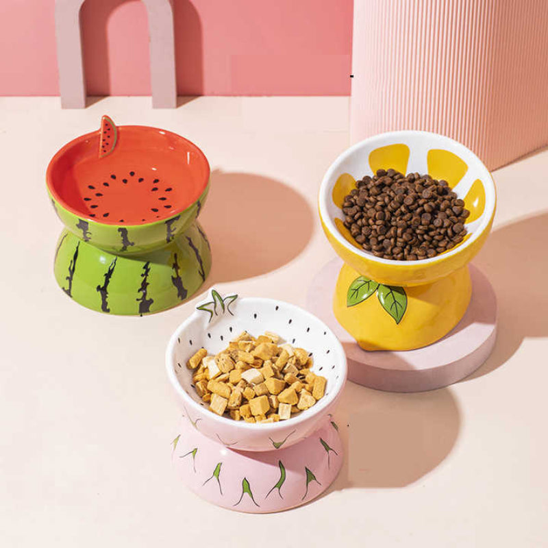 Ceramic Elevated Pet Food Bowl Cute Pitaya Pattern Design For Cats And Small Dogs