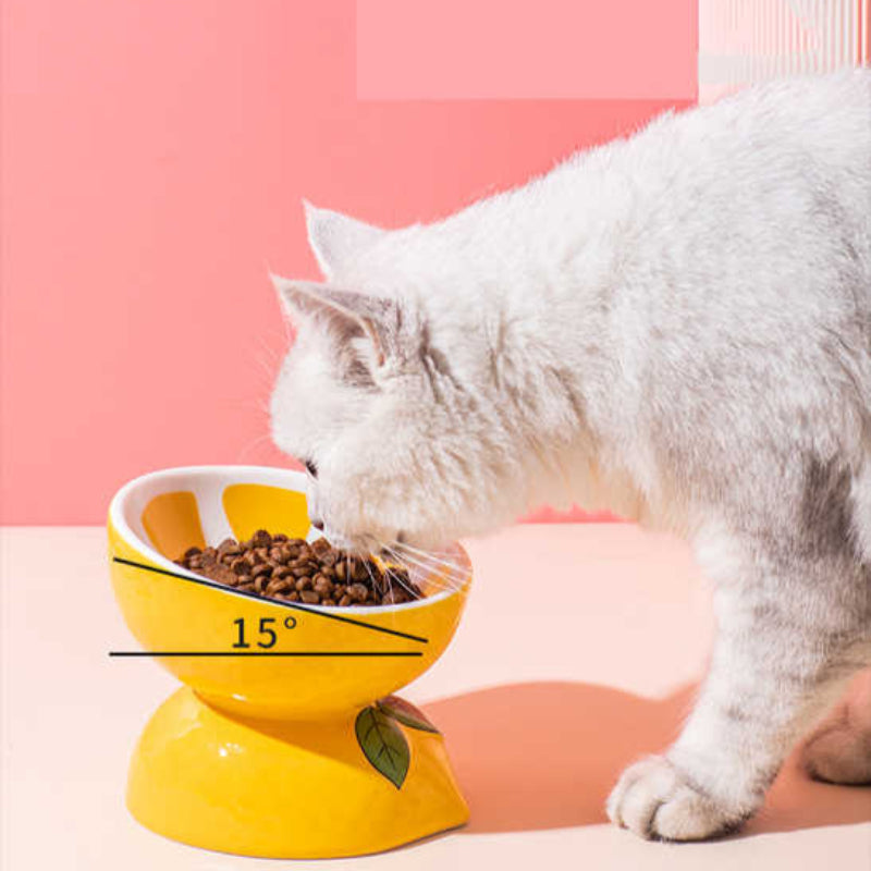 Ceramic Elevated Pet Food Bowl Cute Pitaya Pattern Design For Cats And Small Dogs