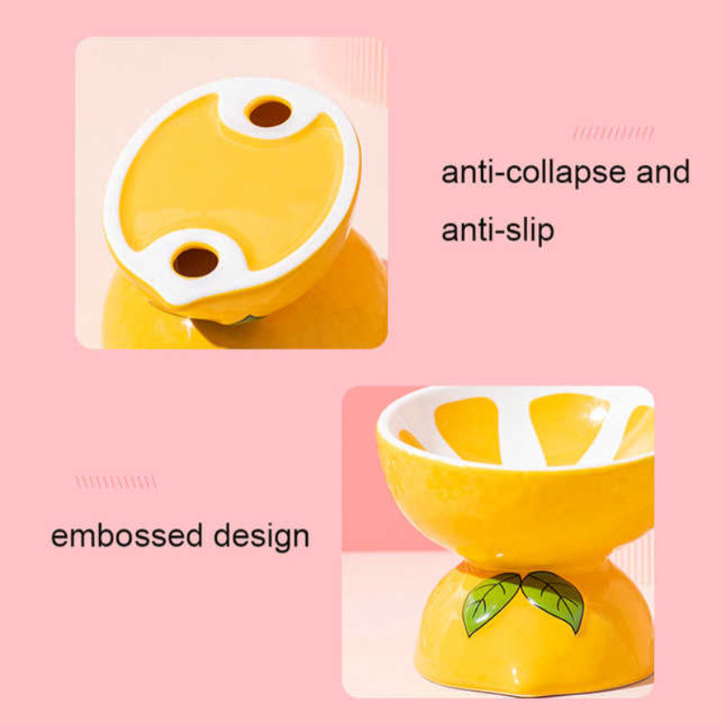 Ceramic Elevated Pet Food Bowl Cute Pitaya Pattern Design For Cats And Small Dogs