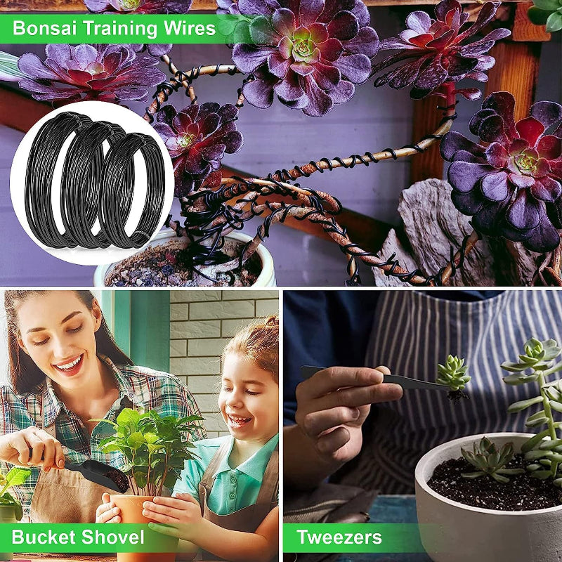 24 Piece Bonsai Tree Tool Kit For Gardening Starters