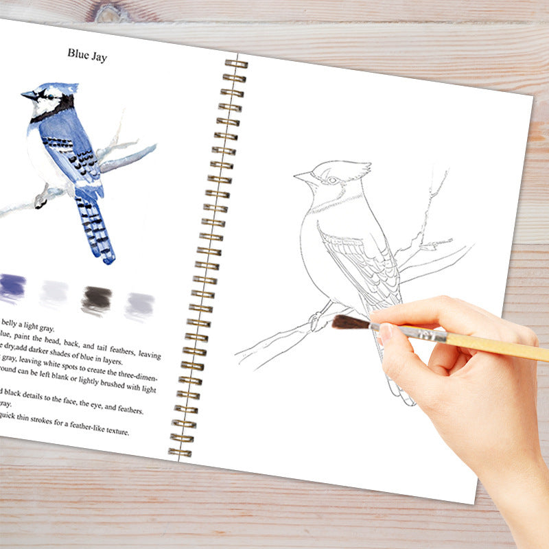 Seaside 2-Pack Watercolor Painting Set Premium Bird-Themed Coloring Books With Paints (22.86X16.51Cm) Artist-Grade Workb