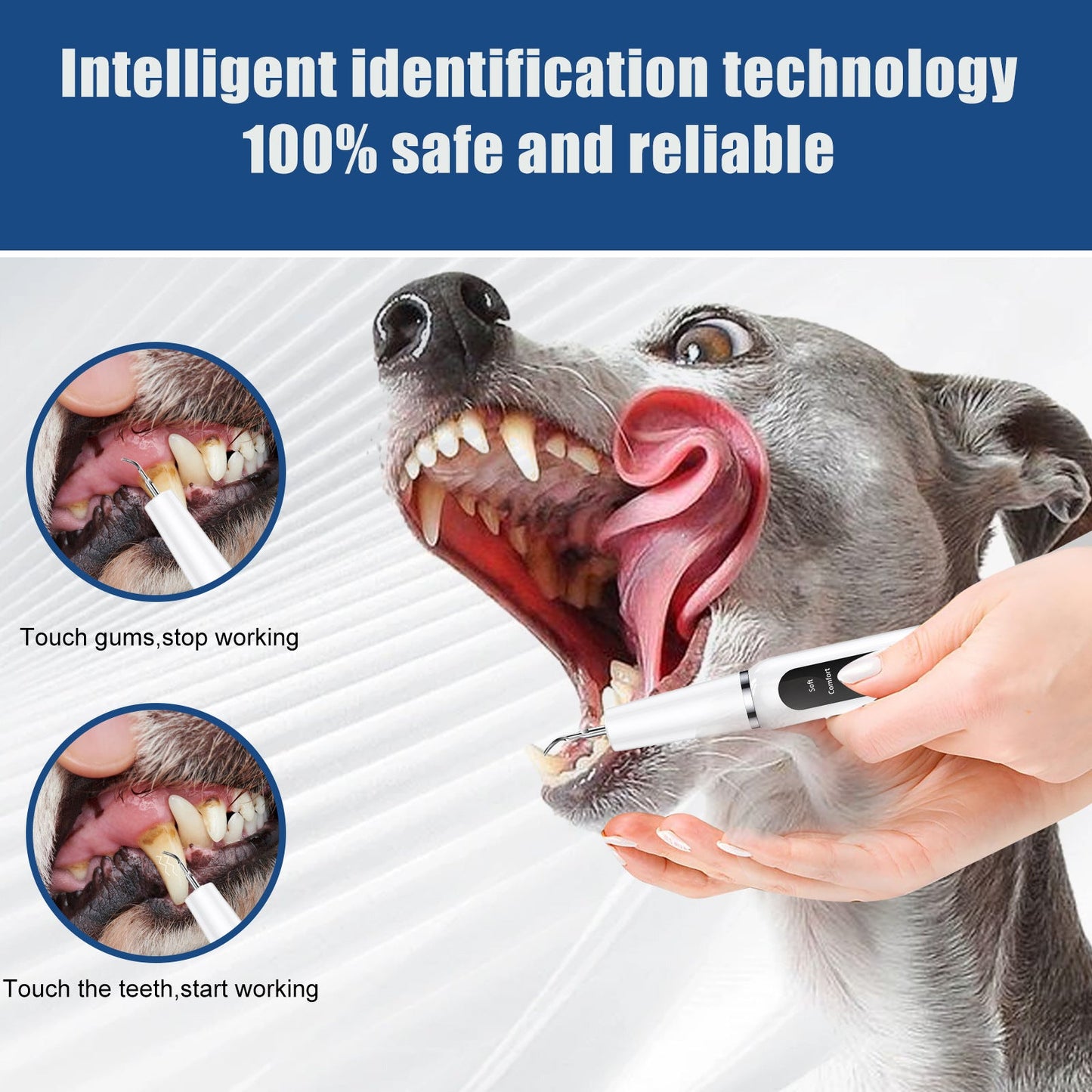 Black Professional Pet Dental Cleaning Kit Ultrasonic Scaler Tools & 3 Modes
