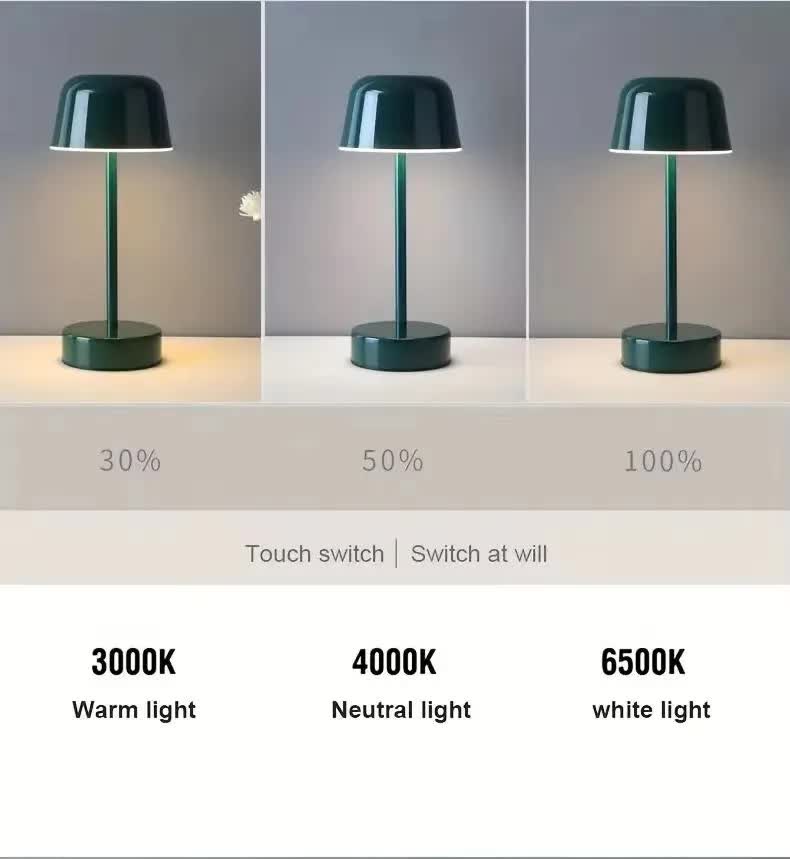Coffee Modern Minimalist Led Table Lamp Rechargeable Touch Control Desk Light