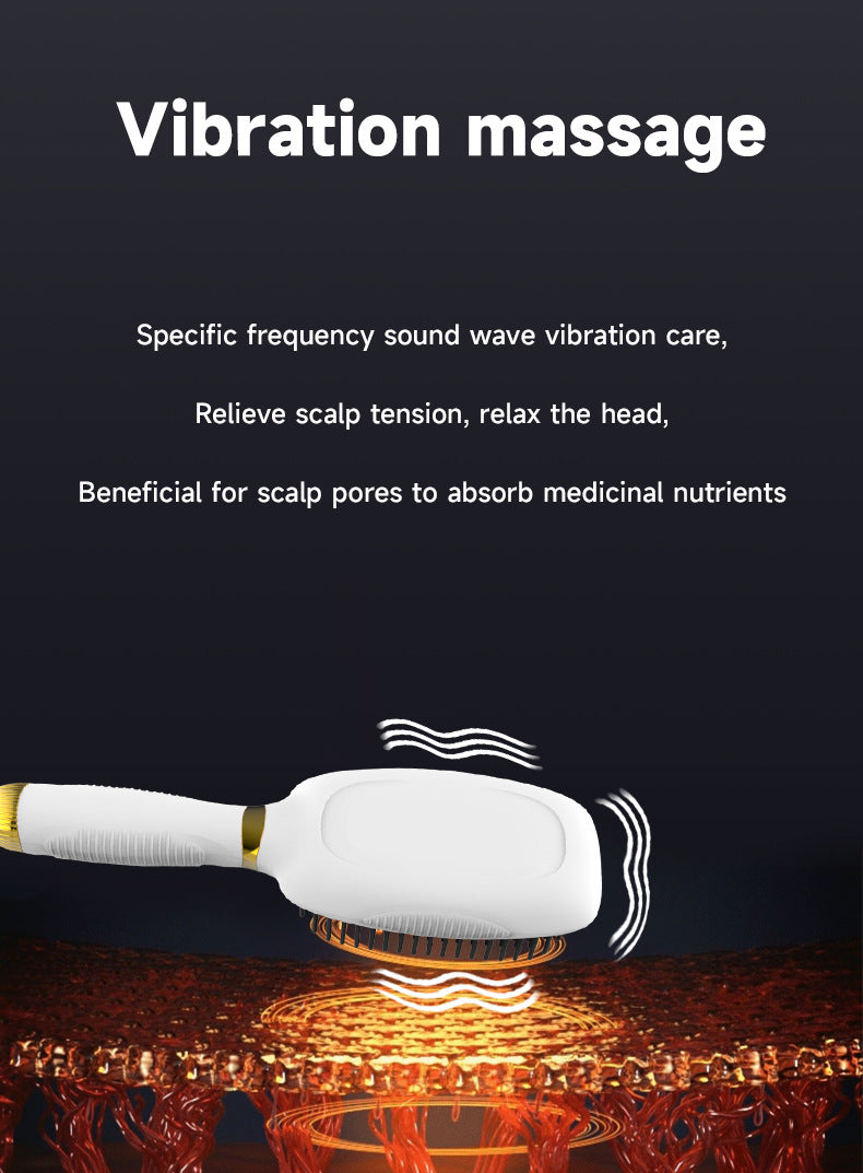 Black Advanced 3 In 1 Scalp & Hair Care Massage Comb Red Light Therapy Ems Microcurrent Vibration