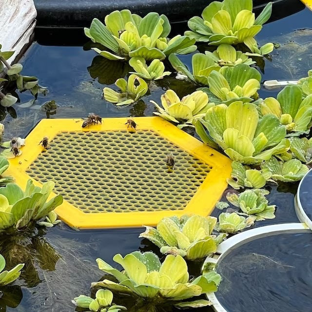 2Pcs L 210X180x3.5Mm Purple Floating Bee Saver Waterer Safe Drinking Platform For Garden Ponds & Bird Baths
