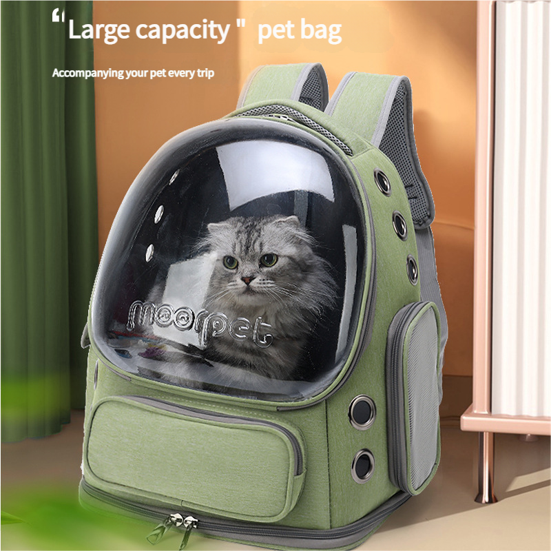 Spacious Pet Carrier With Ventilation System & Water Resistant Design(Black)
