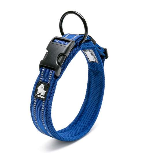 True Love Heavy Duty Reflective Dog Collar - Blue Xl