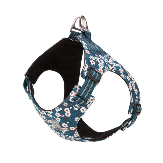 True Love Floral Doggy Harness - Blue 2Xs