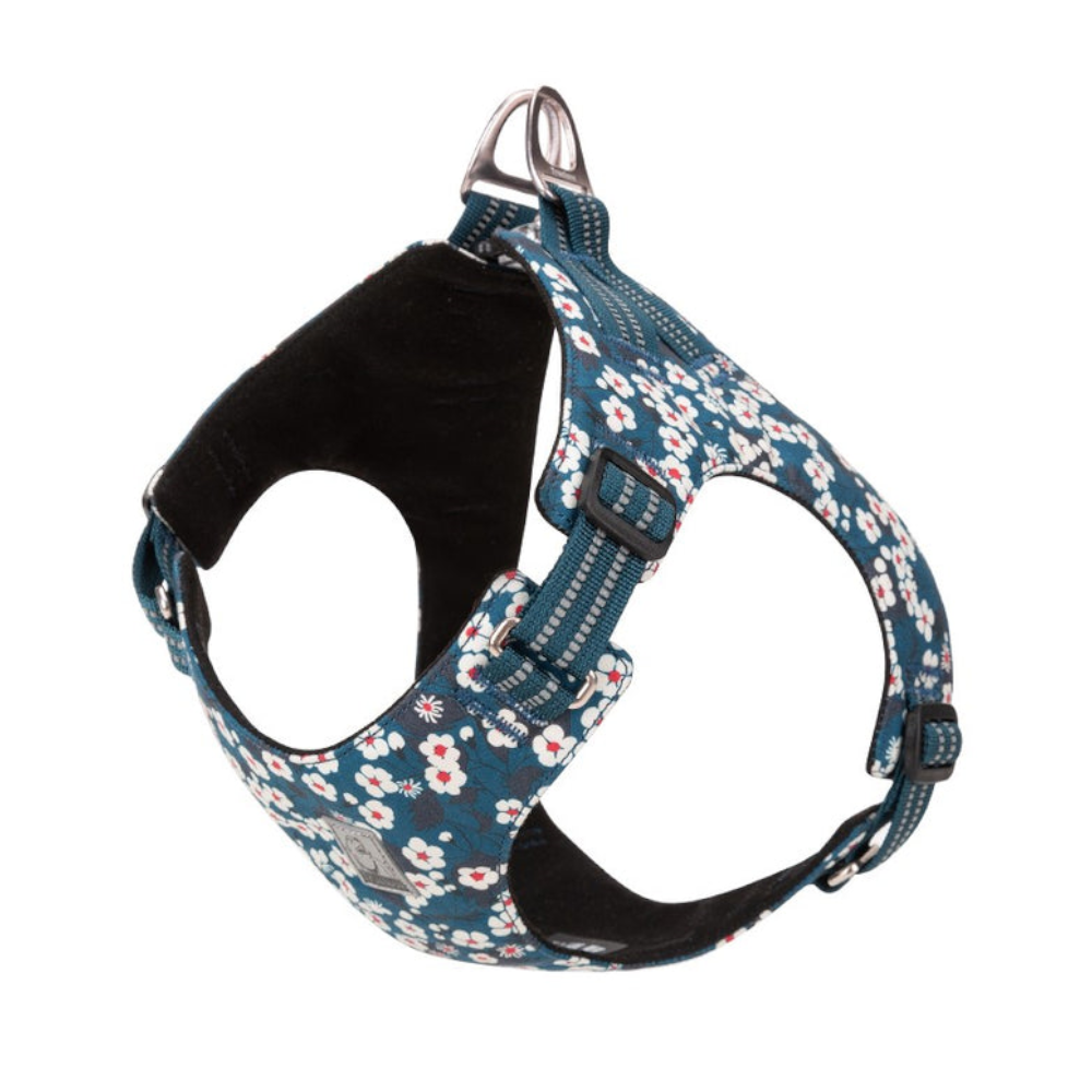 True Love Floral Doggy Harness Blue S