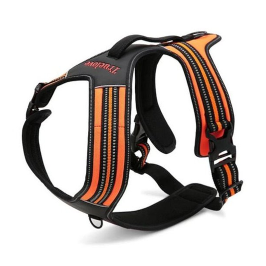 True Love Heavy Duty Sports Dog Harness Orange Xl